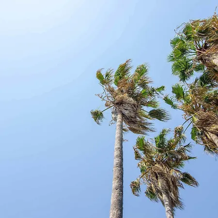 Ośrodek wypoczynkowy Atlantique Club Kusadası